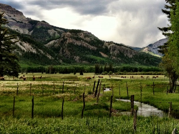 A Ranch in the High Country