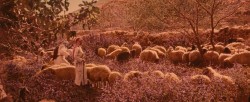 True Shepherds